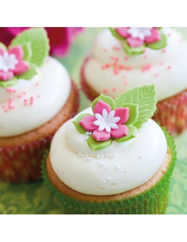 Mezcla Cupcakes 500gr Sin Gluten Funcakes