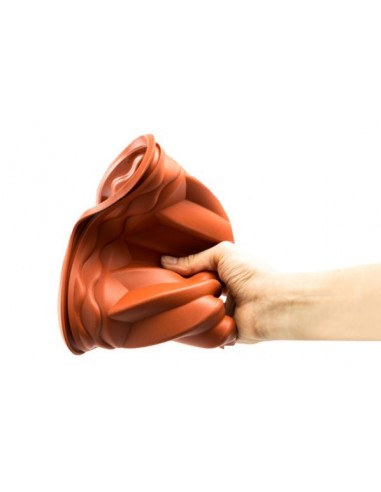 Molde Silicona Gugelhupf Silikomart