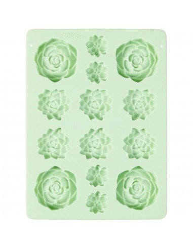 Molde Silicona Suculentas Wilton