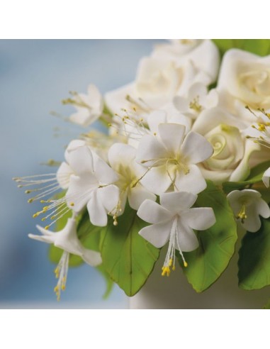 Pistilos Blanco Perla y Naranja 288ud Decora