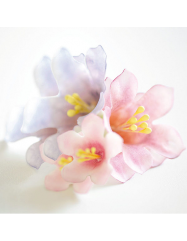 Pistilos Blanco Perla y Naranja 288ud Decora