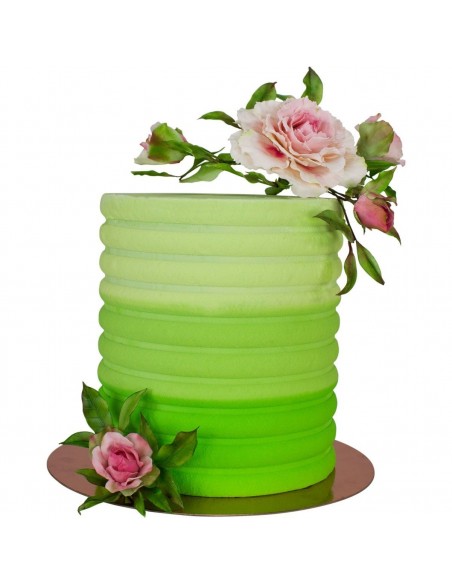 Raspador Lateral Vierira PME