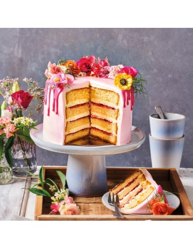 Mezcla Bizcocho 500gr Funcakes