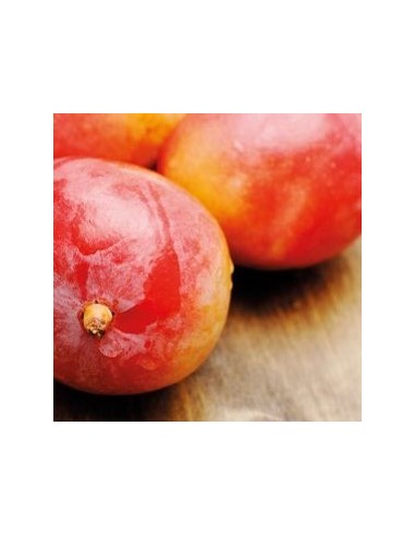 Aroma En Pasta Mango 120gr Funcakes