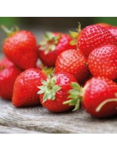 Aroma En Pasta Fresa 120gr Funcakes 2