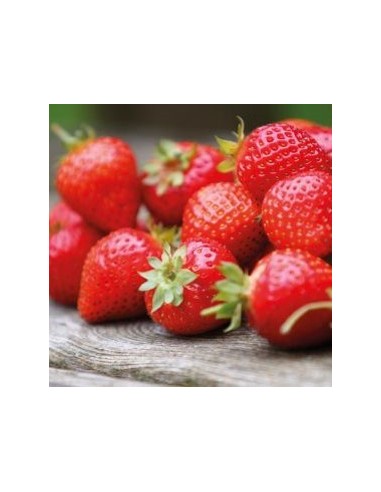 Aroma En Pasta Fresa 120gr Funcakes