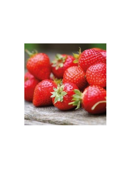 Aroma En Pasta Fresa 120gr Funcakes