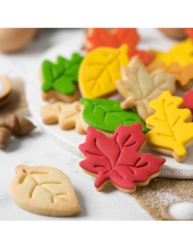 Set 3 Cortadores Hojas De Otoño Decora