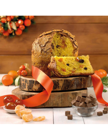 Molde para Panettone 1000gr 5ud Decora