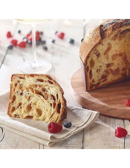 Molde para Panettone 1000gr 5ud Decora