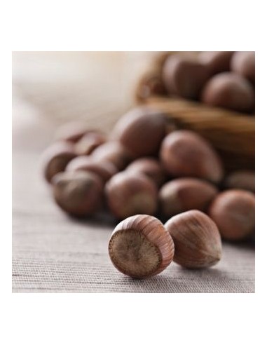 Aroma En Pasta Avellana 100gr Funcakes