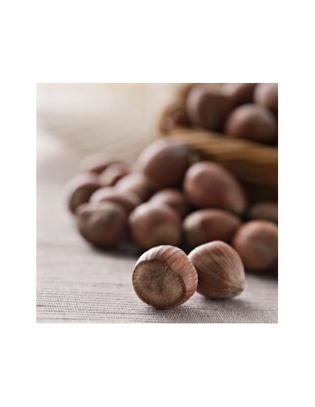 Aroma En Pasta Avellana 100gr Funcakes