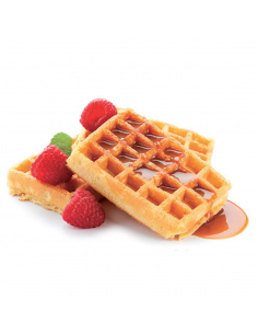 Molde Silicona Gofres 4 cavidades Silikomart 2