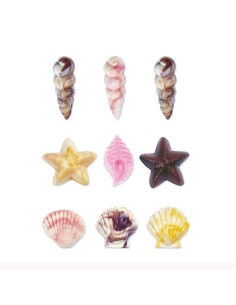 Molde Para Bombones Conchas Del Mar Wilton 2