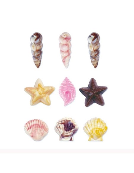 Molde Para Bombones Conchas Del Mar Wilton