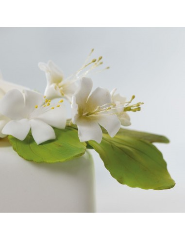 Kit Cortador Hojas De Rosa 4ud Decora