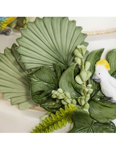 Molde Silicona Hoja De Palmera de Karen Davies