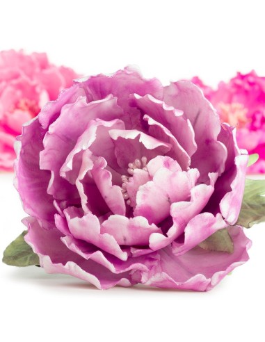 Cortante Flor Peonía 7ud Decora