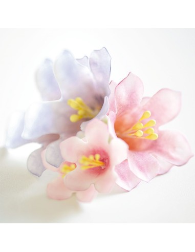 Cortante Flor Petunia 5ud Decora