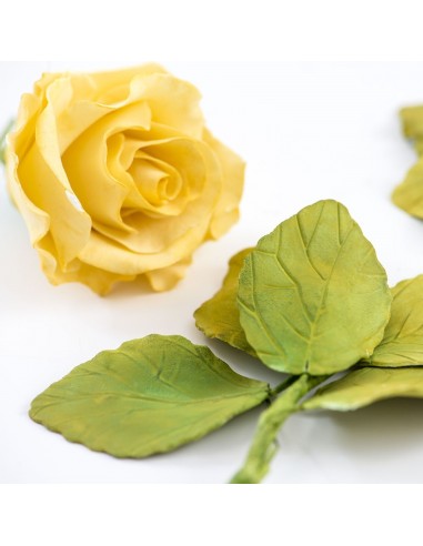 Cortante Flor Rosa 7ud Decora