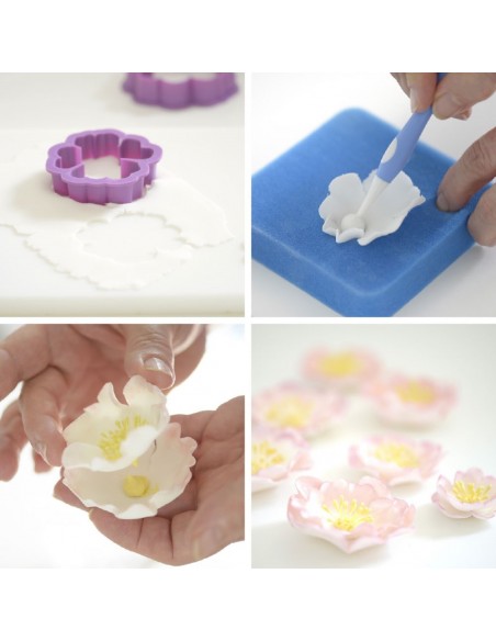 Set 5 Cortadores Rosa Canina Decora