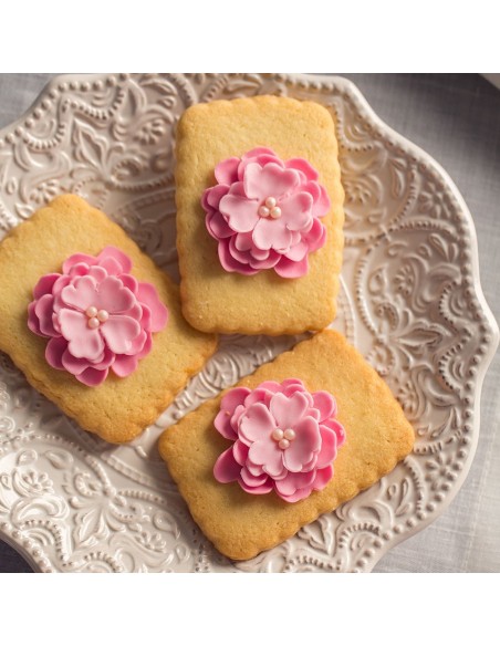 Set 5 Cortadores Rosa Canina Decora