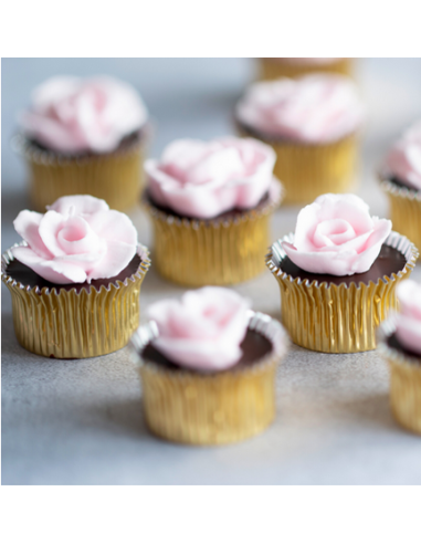 Cápsulas para Bombones Stadter