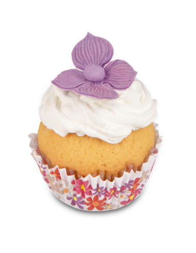 Cortantes Hortensia-Lila 3ud Städter