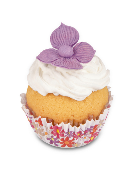 Cortantes Hortensia-Lila 3ud Städter