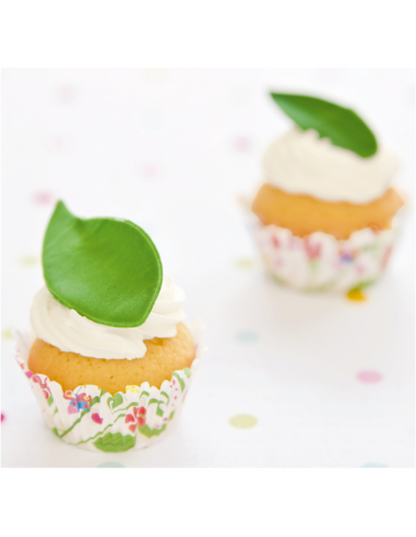 Cortantes Hojas 3ud Stadter