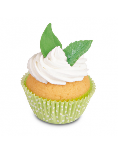 Cortantes Hojas 3ud Stadter