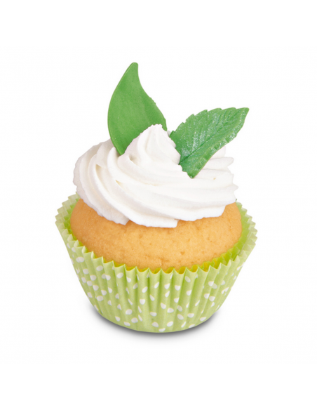 Cortantes Hojas 3ud Stadter