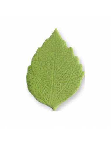 Texturizador Nervios Hojas Set2, 9Ud JEM