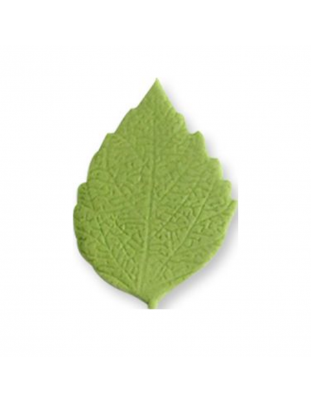 Texturizador Nervios Hojas Set2, 9Ud JEM