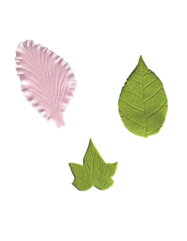 Texturizador Nervios Hojas Set 1, 11uds JEM