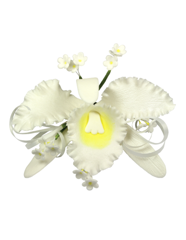 Texturizador Nervios Hojas Set 1, 11uds JEM