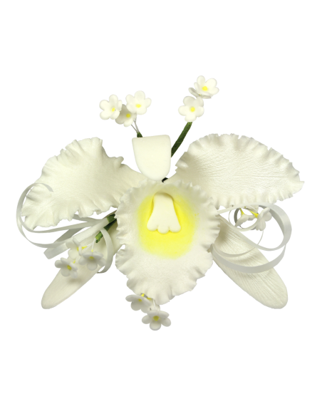 Texturizador Nervios Hojas Set 1, 11uds JEM