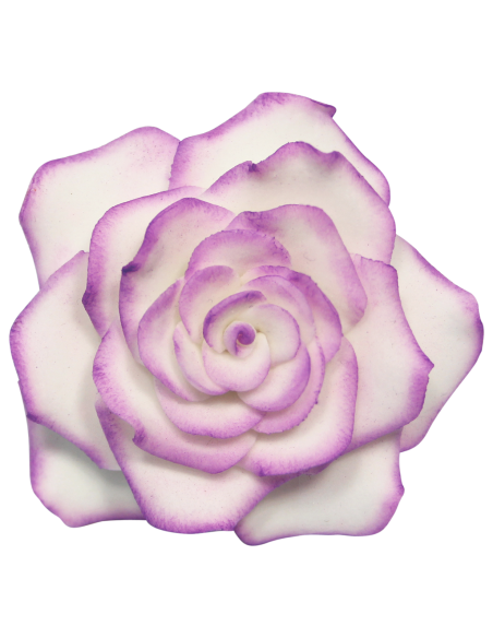 Cortantes Petalos Rosa 4ud PME