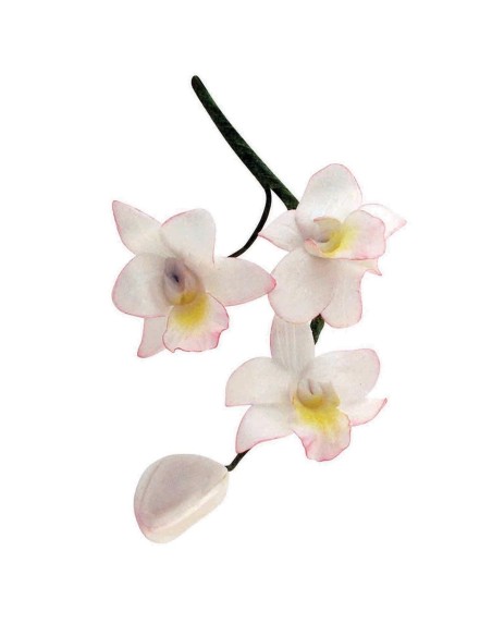 Cortantes Orquideas 3ud  JEM