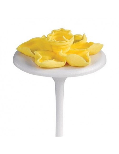 Clavos para Decorar Wilton