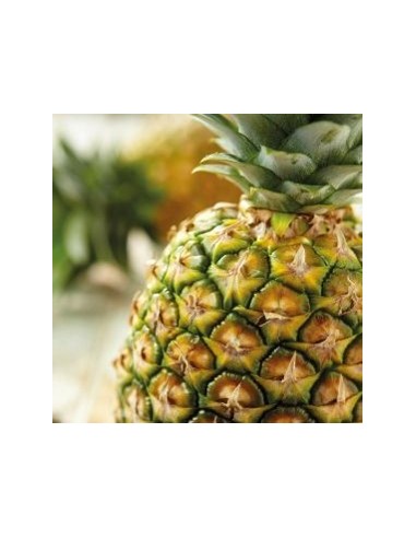 Aroma En Pasta Piña 120gr Funcakes