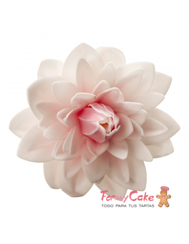 Dalia Gigante De Oblea Color Rosa Dekora