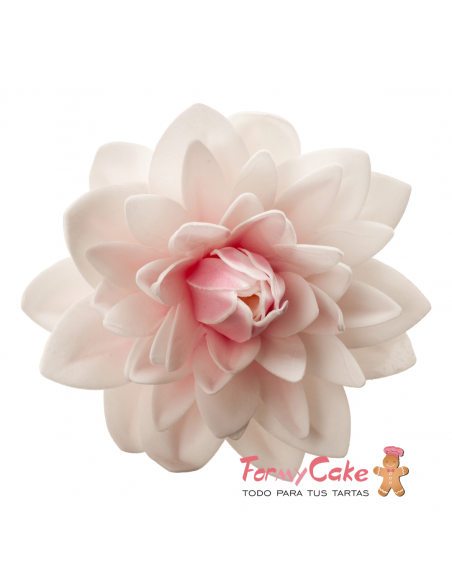 Dalia Gigante De Oblea Color Rosa Dekora