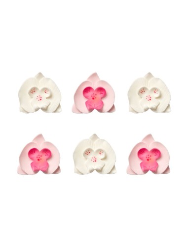 Orquideas Comestibles Blancas y Rosas 6ud Decora