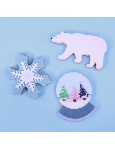 Set Cortadores Galletas De Polo Norte 3ud PME