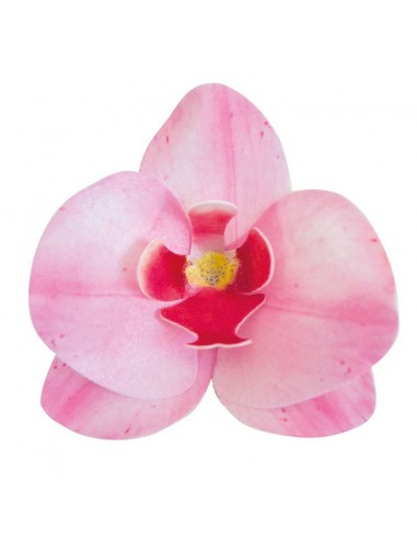 Orquideas De Oblea Color Rosa 10uds Dekora