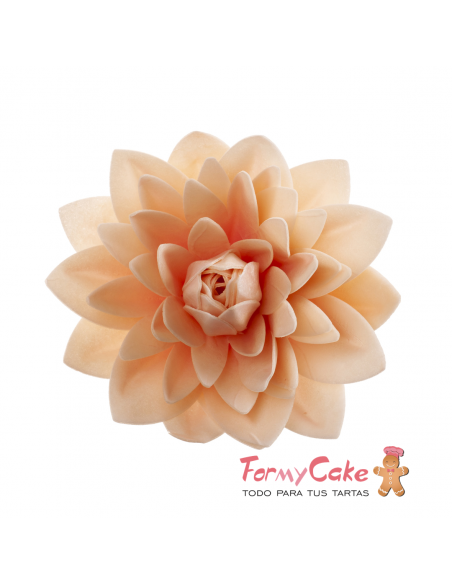 Dalia Gigante De Oblea Color Pastel Dekora