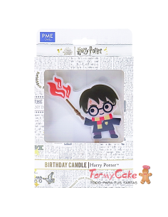 Vela Del Personaje De Harry potter PME