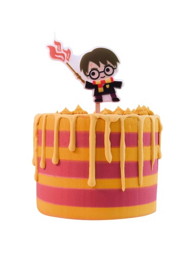 Vela Del Personaje De Harry potter PME