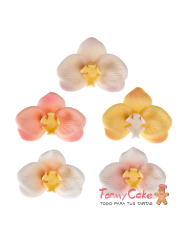 Set 6 Orquídeas de Azúcar 8 CM - Colores...